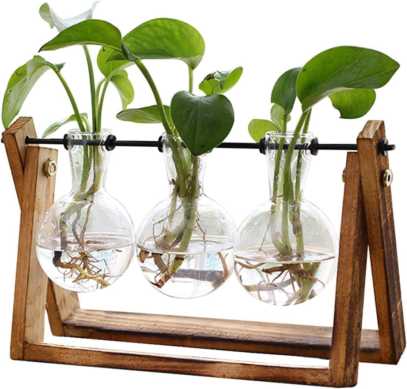 Plant Terrarium with Wooden Stand, 3 Bulb Vase Air Planter Bulb Glass Vase Metal Swivel Holder Retro Tabletop for Hydroponics Home Garden Office Decoration image number 2