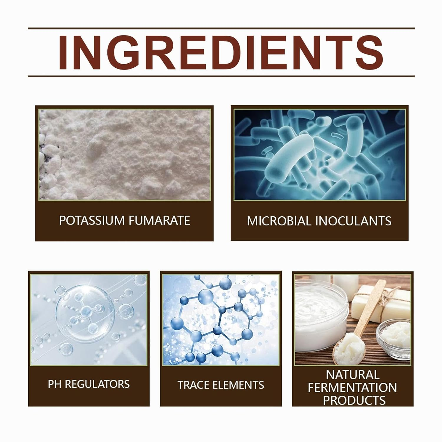 Plant Growth Promoter - 100G Plant Enhancer Nutrient Powder,Balanced Formula Planting Tool for Hydroponics, Mixed Culture, and Soil Culture image number 4