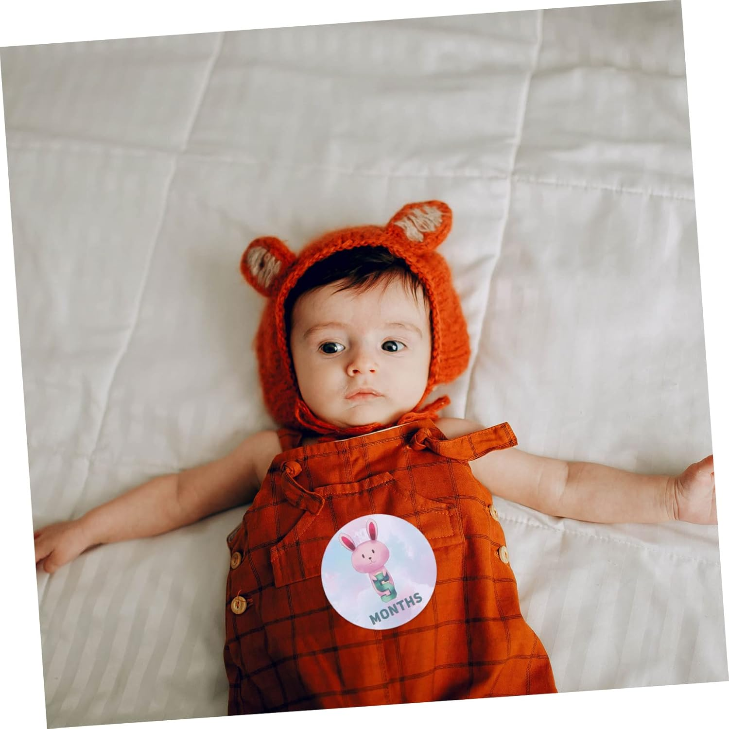 TEHAUX Creative Newborn Monthly Sticker Photo Props for Nursery Milestone Photo Supplies to Capture Babys Growth and First Year Memories image number 2