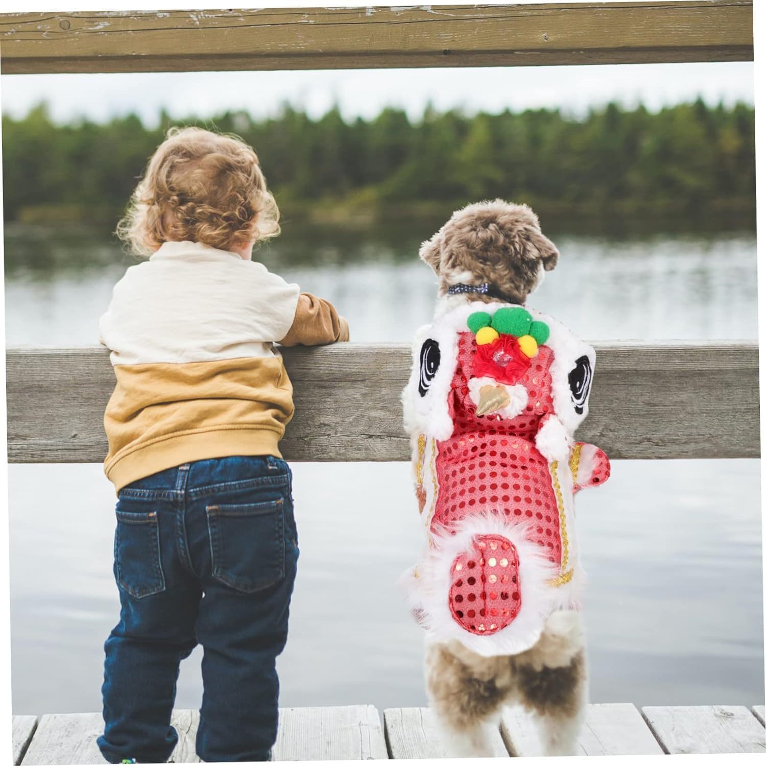 1Pc Clothes for Pets Wedding Cat Clothing Puppy Lion Costume Dog Dance Lion Clothes Dog Four Legs Hoodies Dance Lion Dog Costume New Year Cat Clothes Dress Festive Polyester image number 1