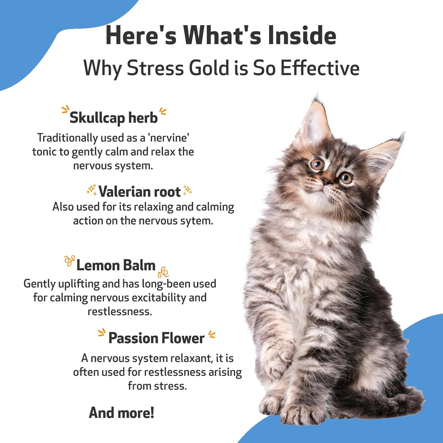 Pet Wellbeing Stress Gold for Cats - Occasional High Stress and Restlessness, Supports Relaxation, Travel, Vet Trips, Skullcap, Valerian - Veterinarian-Formulated Herbal Supplement 2 Oz (59 Ml) image number 3