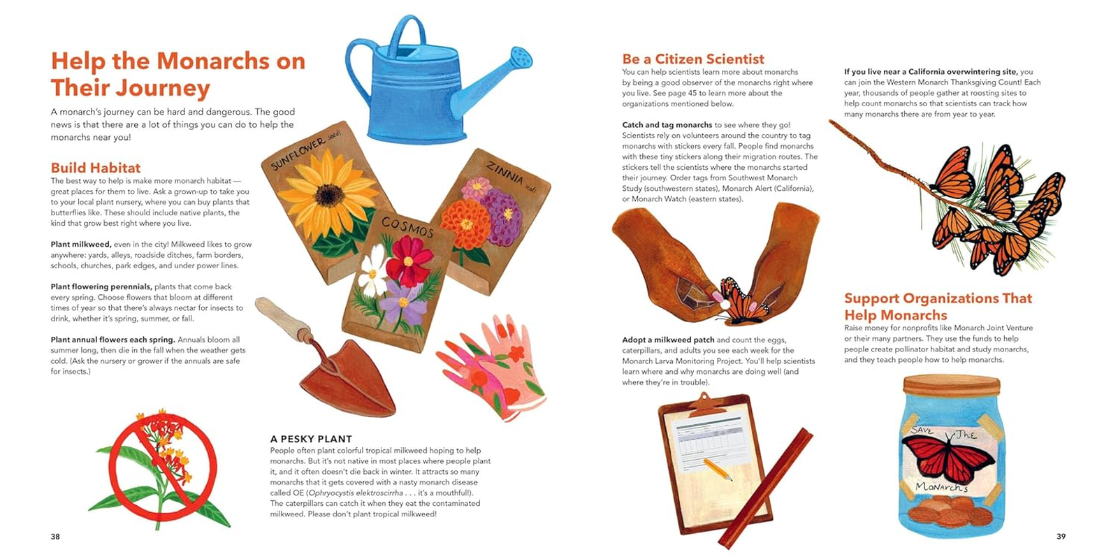 Monarch Butterflies: Explore the Life Journey of One of the Winged Wonders of the World