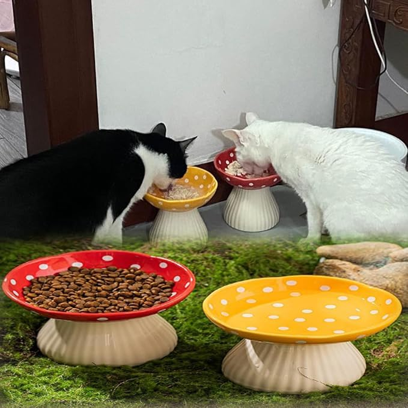 WEZCHUGHAOL 2 Pack Elevated Cat Bowls - Ceramic Raised Pet Food & Water Dishes with Non-Slip Base, Whisker Friendly Tilted Design for Flat-Faced Cats & Kittens, Mushroom Style Feeder image number 1