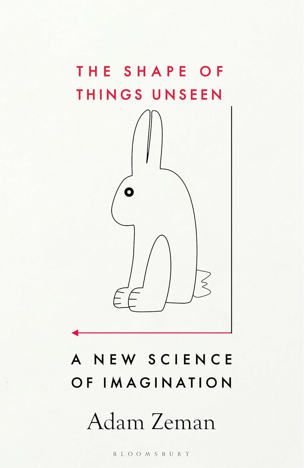 The Shape of Things Unseen: a New Science of Imagination