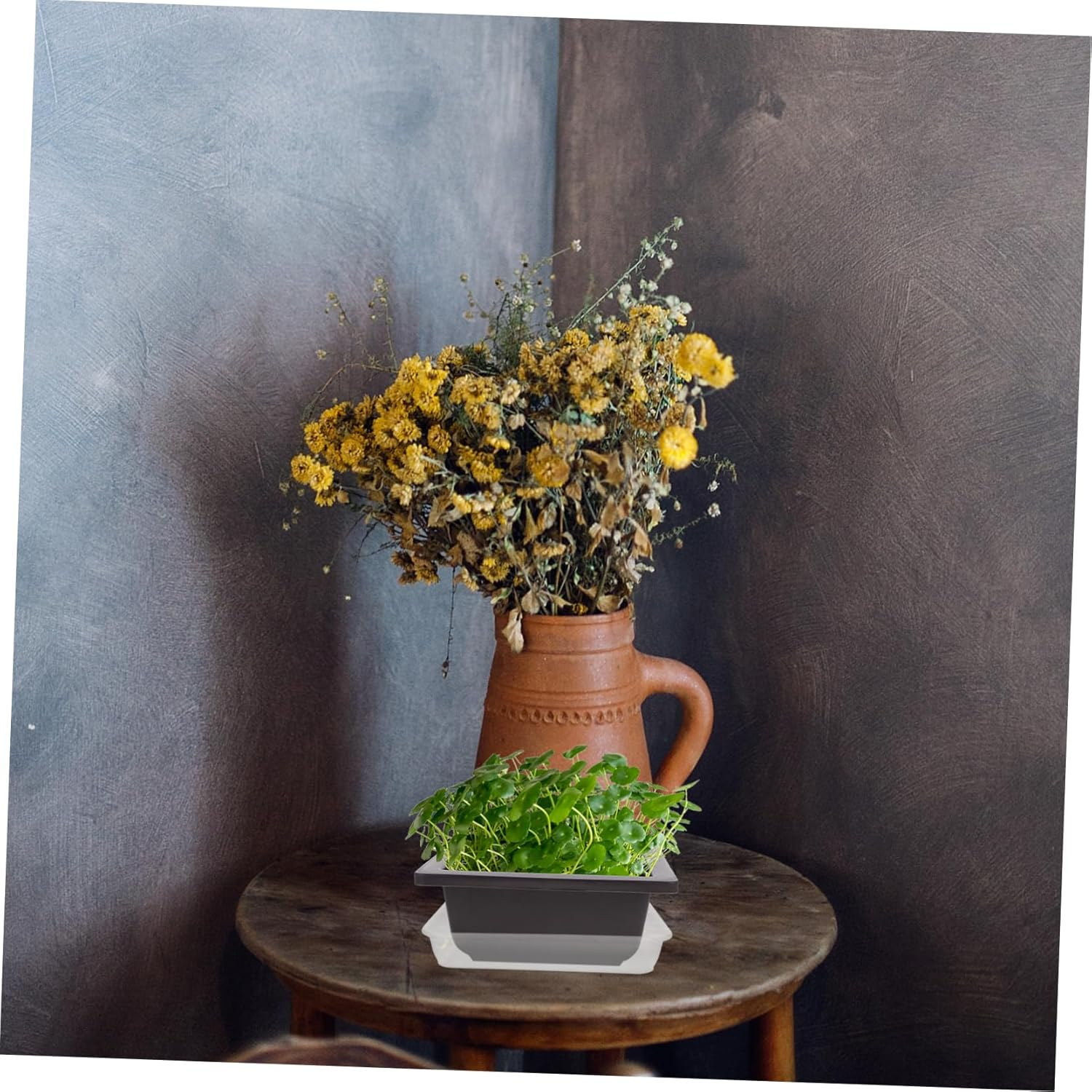 Milisten Clear Square Plant Saucers 10-Pack Plastic Pallet Base Flower Pot Drip Trays Water Saucers for Indoor Outdoor Garden Accessories Plant Drainage Protection image number 6