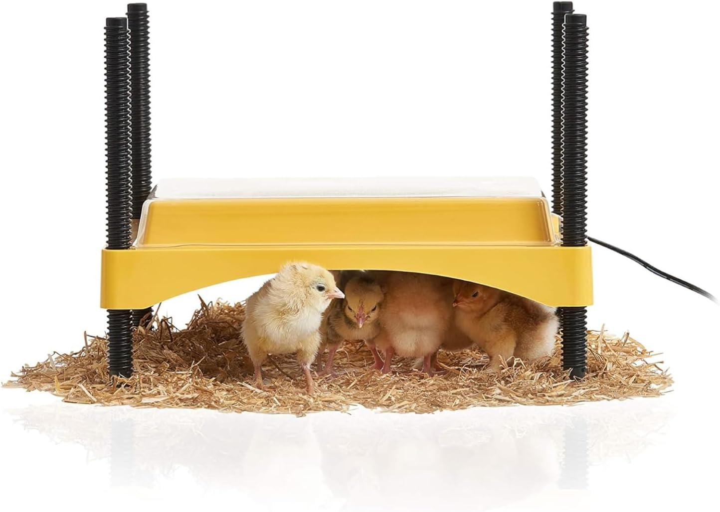 Brinsea Ecoglow Safety 600 Chick or Duckling Brooder, Adjustable Height & Angle Brooder Plate for 20 Chicks, Ideal for Chicken Coops Poultry Heating with Safety Indicator, 12 Watts image number 2