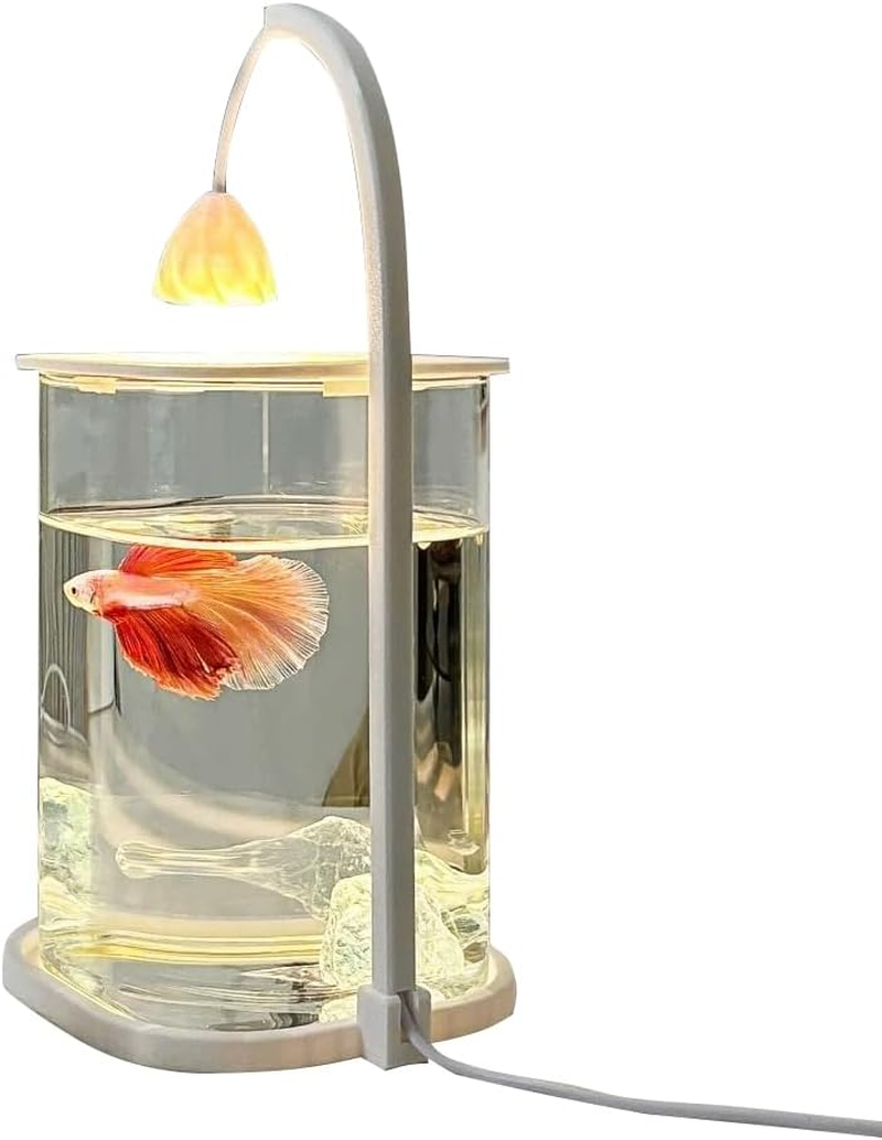 Mini Desktop Glass Aquarium with LED Light &ndash; 10&times;10&times;15Cm Small Fish Tank for Betta, Shrimp, or Aquatic Plants &ndash; Compact Rimless Tank for Home or Office Decor