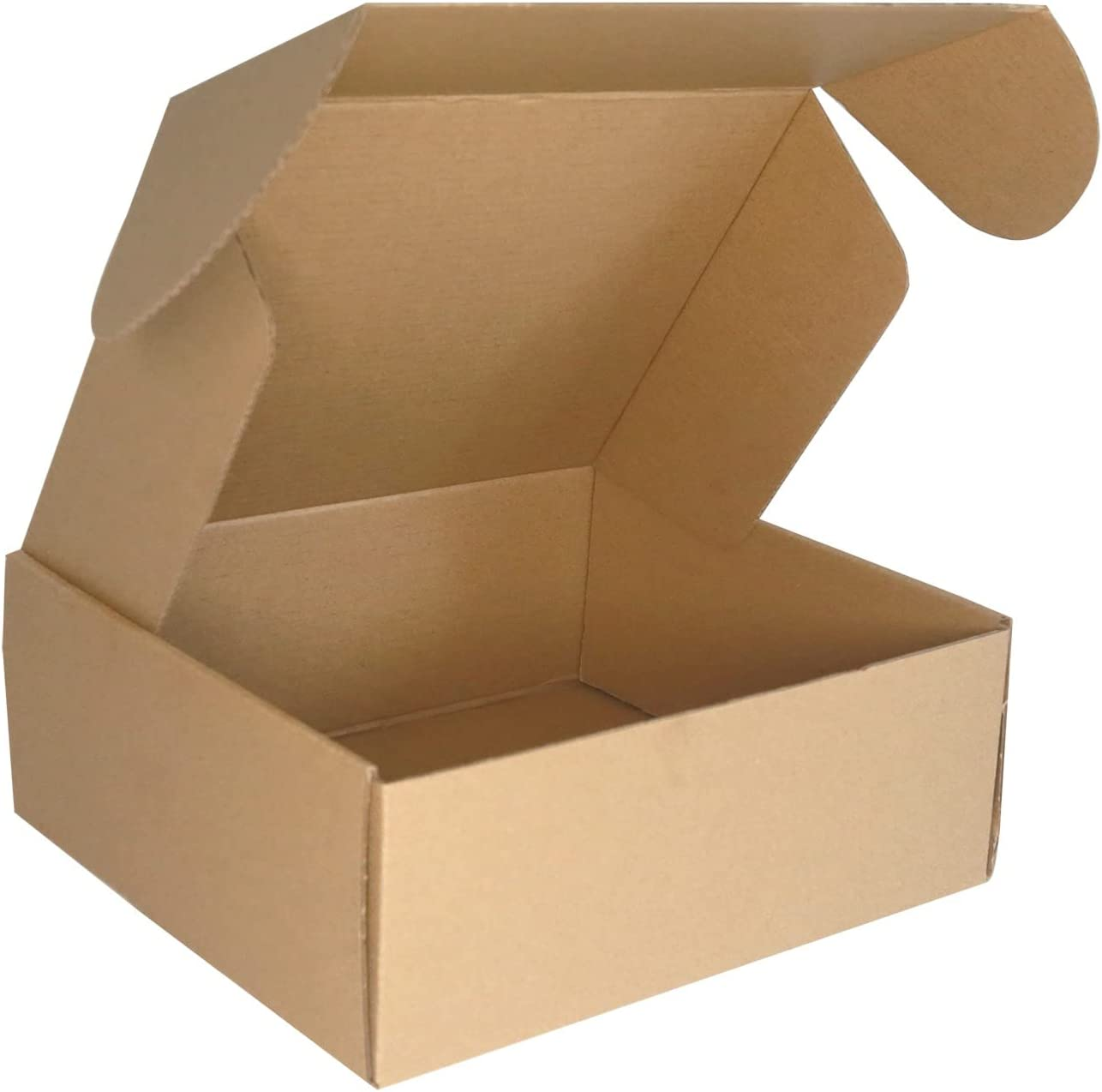 Corrugated Cardboard Shipping Boxes, 250X200X100Mm Small Parcel Boxes, Packaging Mailing Boxes for Business, Posting, Small Packet Shipping, Storing or Gift(Pack of 10)