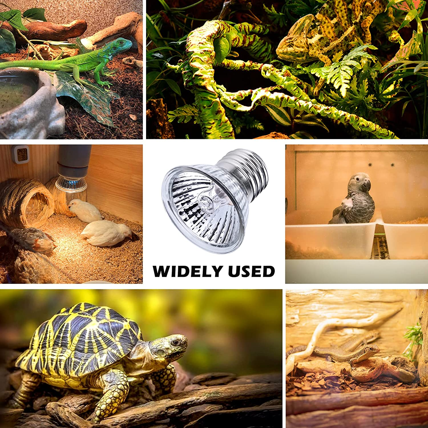 Turtle Heat Lamp, Pack of 6 Heating Bulbs, 50 W UVA UVB Dimmable Halogen Bulb, E27 Heat Spot Lamp, 220-240 V Pet Heating Lamp for Lizards, Aquarium Reptiles, Turtles (Heat Lamp) image number 5