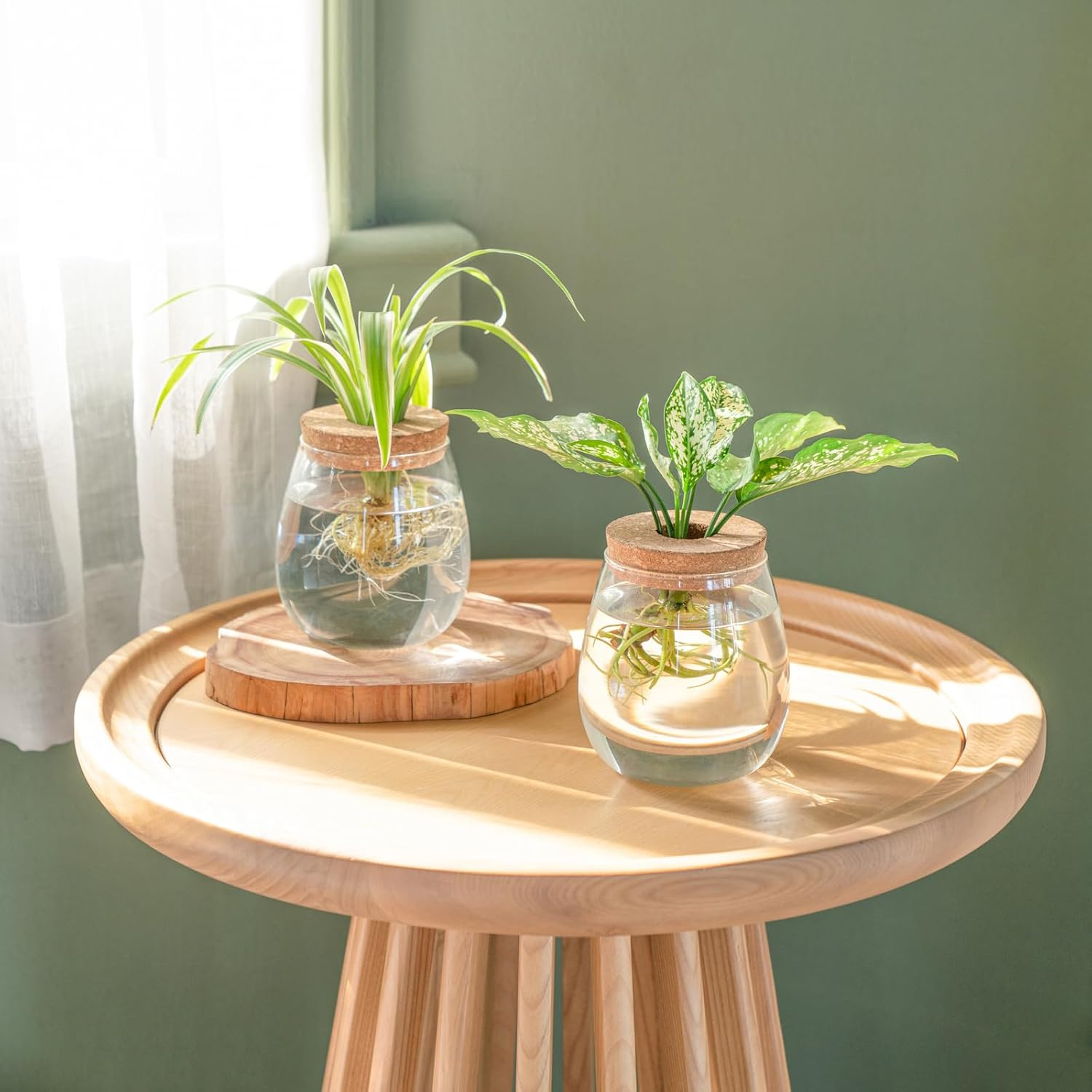 Dahey Plant Propagation Jars Plant Terrarium Glass Vase with Wooden Saucer and Cork Planter Station for Growing Hydroponic Plants Indoor Table Centerpirce Home Office Decor, Set of 2 image number 3