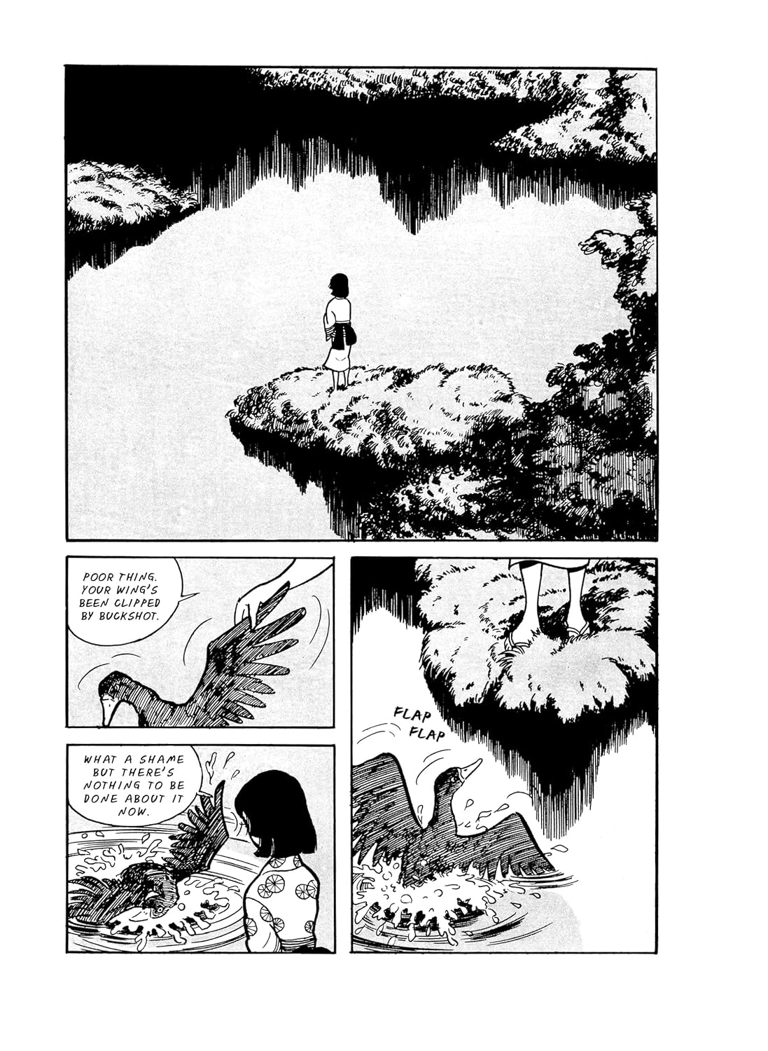 The Swamp: 1 image number 4