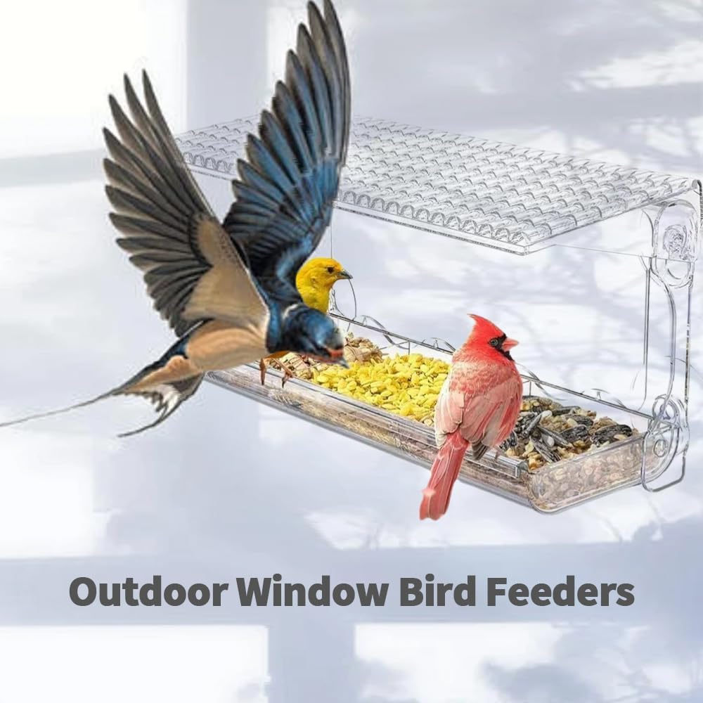 Window Sparrow Feeder with Strong Suction Cups, Transparent Bird House Outside, Hanging Small Animal Bowl for Garden, Yard, Elderly Kids Viewing image number 4