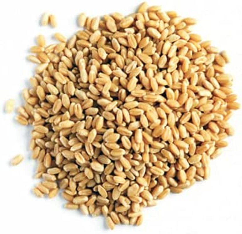 Pattu Wheat, 1 Kg
