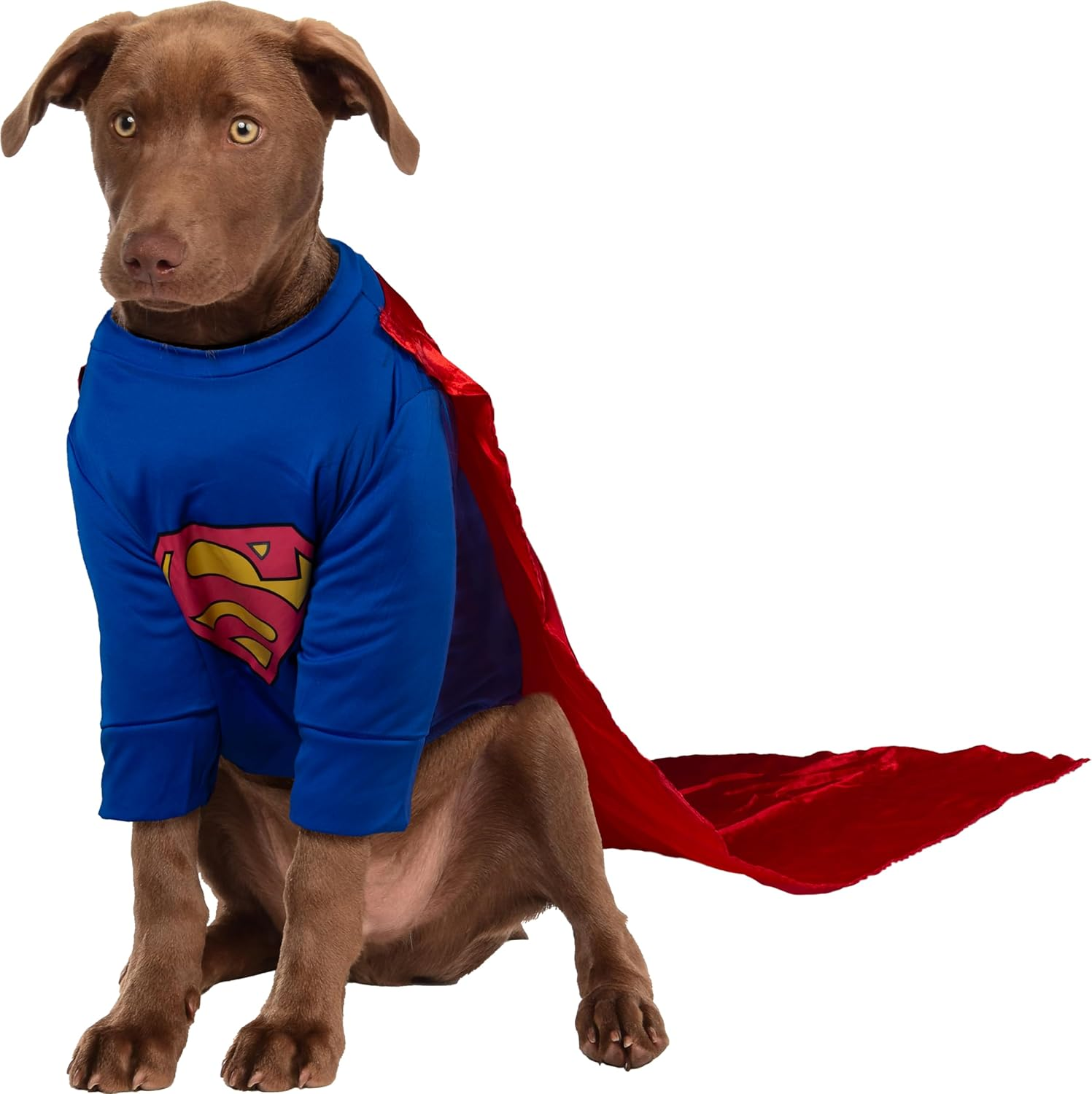DC Comics Superman Shirt and Cape Pet Costume, as Shown