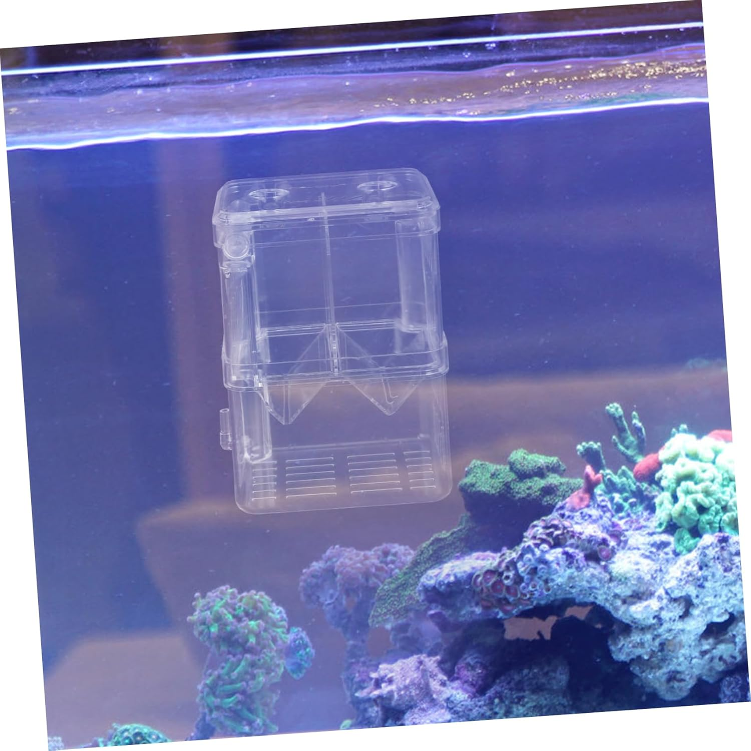 EXHUMKY Fish Breeding Box Durable Isolation Tank with Suction Cups for Shrimp Fish Hatchery Injured Care Multi Purpose Aquarium Incubator for Small Aquatic Pets image number 5