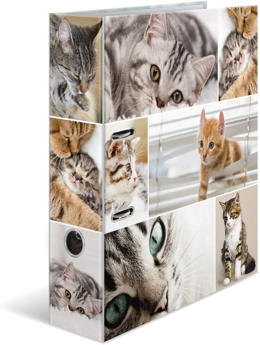 HERMA 7164 Folder A4 Animals Horses, 7 Cm Wide, Cardboard Folder with Inner Print for School and Office, Sturdy Children'S Ring Binder Made of Cardboard for Boys and Girls