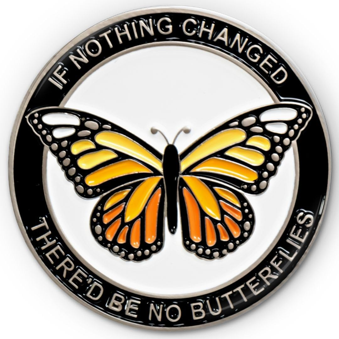 Butterfly Sobriety Coin, Sober Chip, Aa Recovery Medallion, Floating Display Frame image number 4
