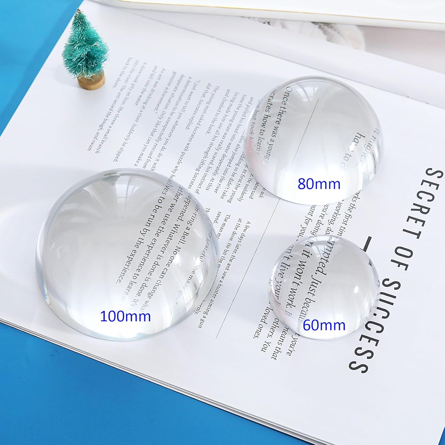LONGWIN Crystal Dome Magnifier/Paperweight Reading Magnifying Glass-3.9 Inch