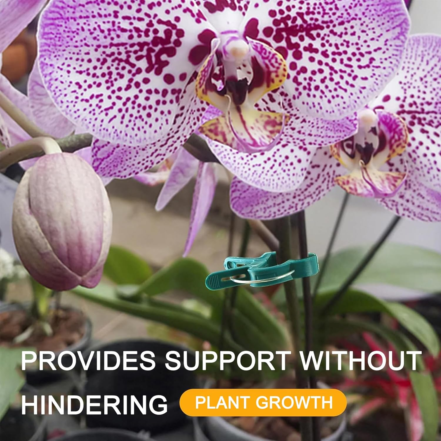 Plant Support Clips for Vines & Tomatoes | Reusable Garden Clips for Strong Vine Support & Healthy Growth | Ideal for Tomato Plants and Climbing Garden Plants (20Small 20Big) image number 3