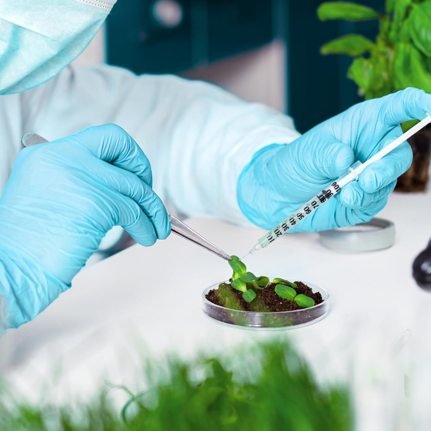 1Ml 31G Syringe with 1/4 Inch 6Mm, Lab Syringes Tools Individually Wrapped, Pack of 20