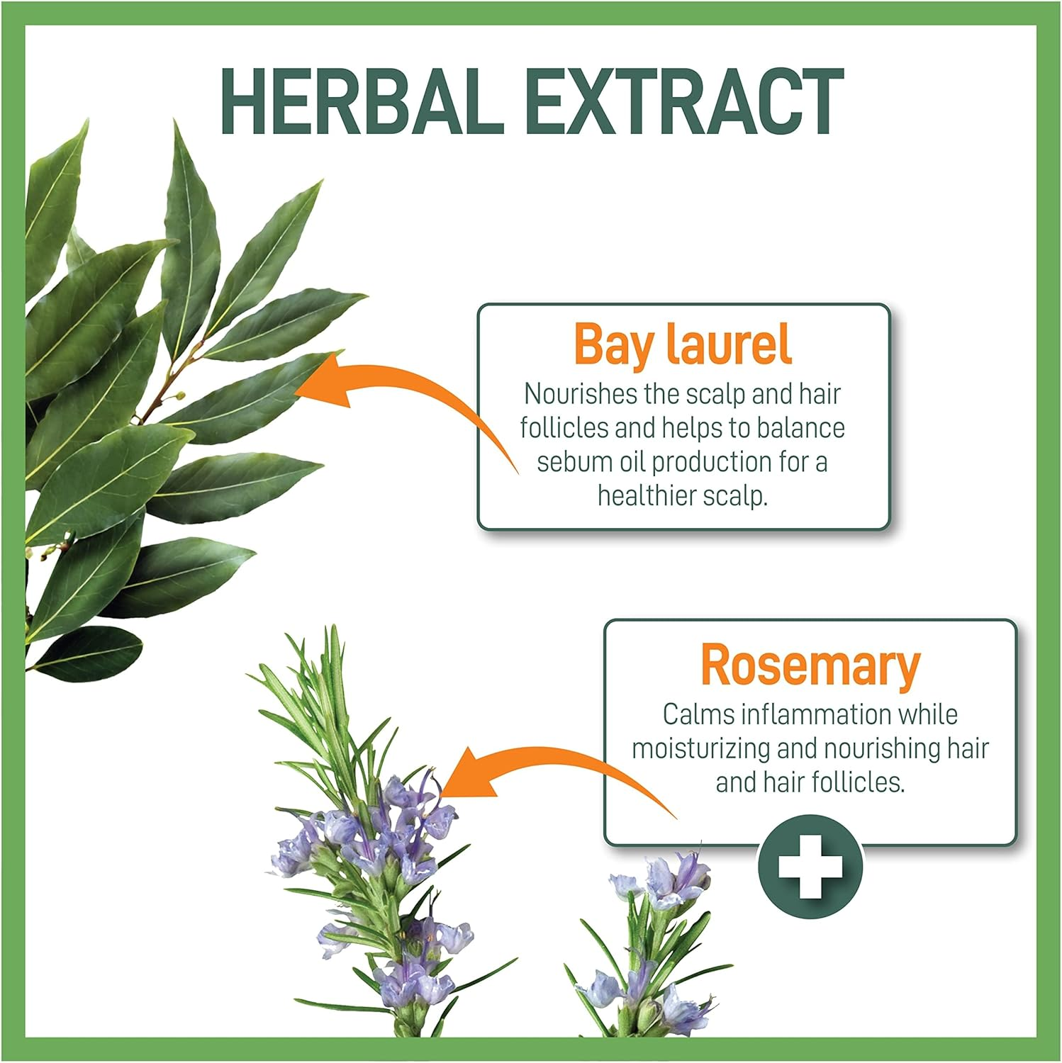 Herbal Shampoo for Normal to Oily Hair by Moraz for Unisex - 17 Oz Shampoo image number 3