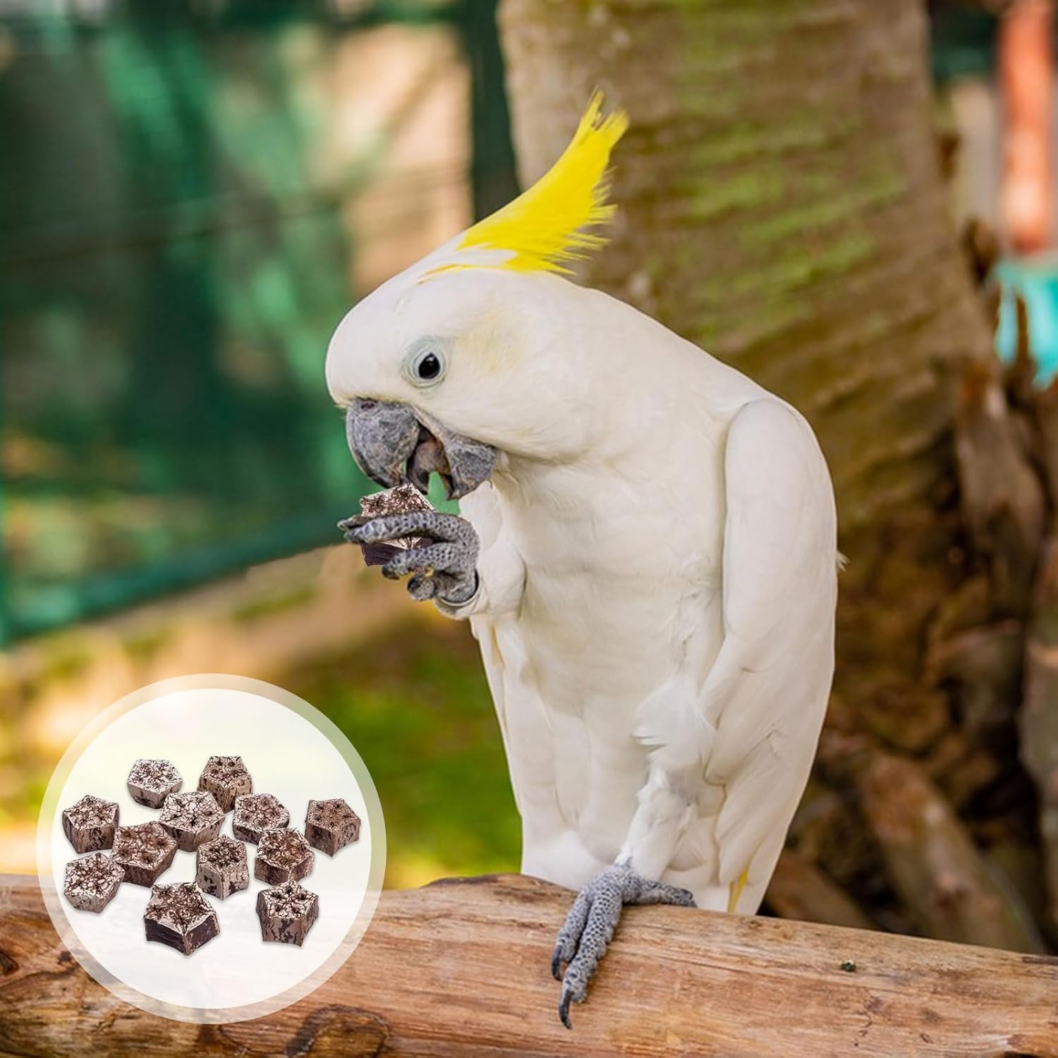 Bird Chew Toy, 24 Pieces Natural Dried Star Fruit Interactive Parrot Toy Budgies Teeth Grinding Treat Blocks Cage Accessories for African Cockatoos image number 1