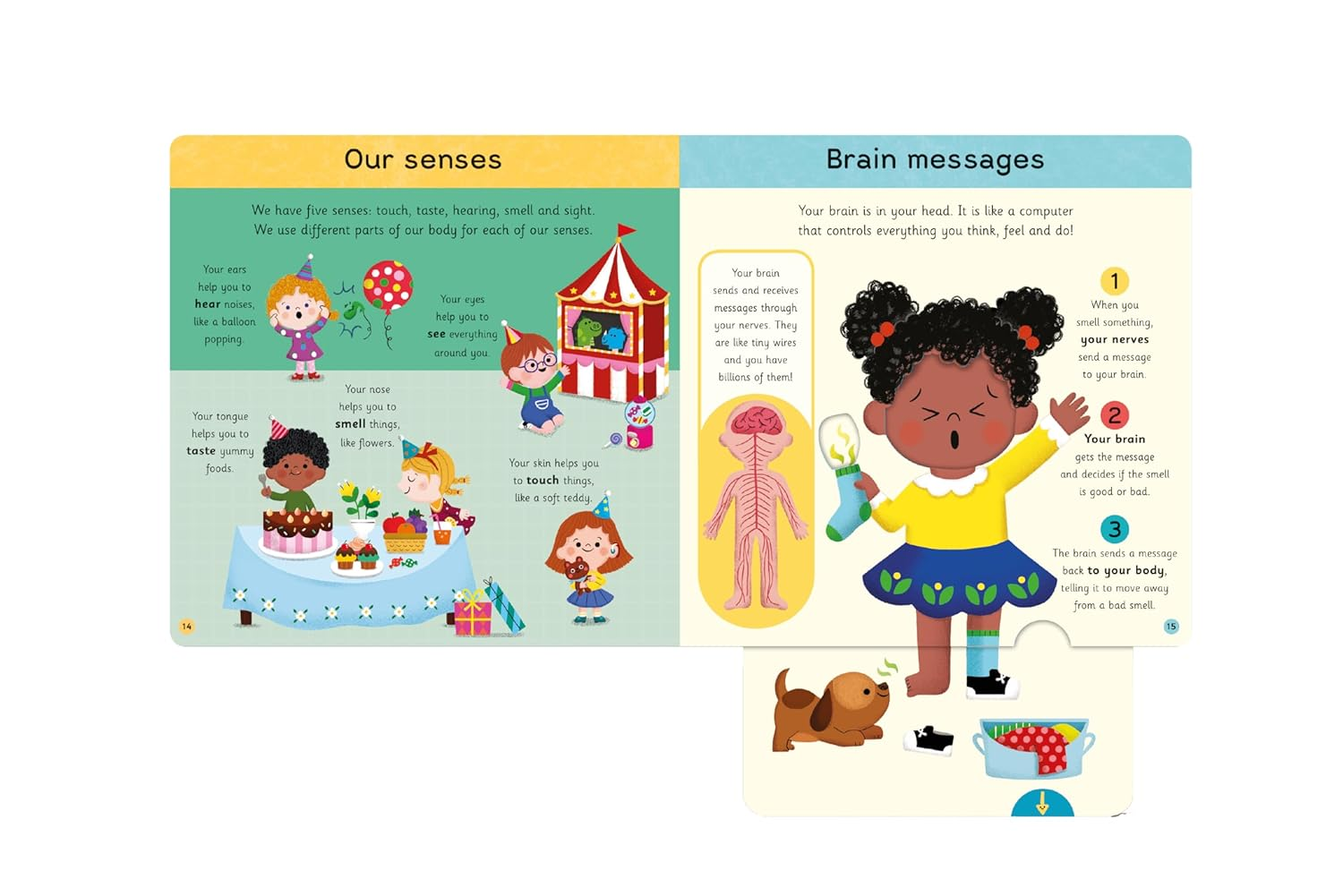 My First Body Book: Explore Your Body with Windows and Sliders image number 1