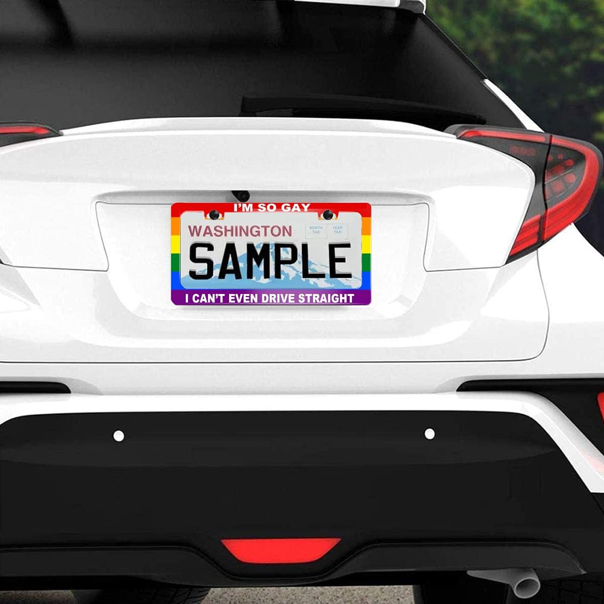 Funny License Plate Frame with Humor Text Gay Pride Rainbow Flag I'M so Gay I Can'T Even Drive Straight Aluminum Black Car Cover Holder with 2 Holes and Screws 12 X 6 Inch for US Vehicle Standard image number 6