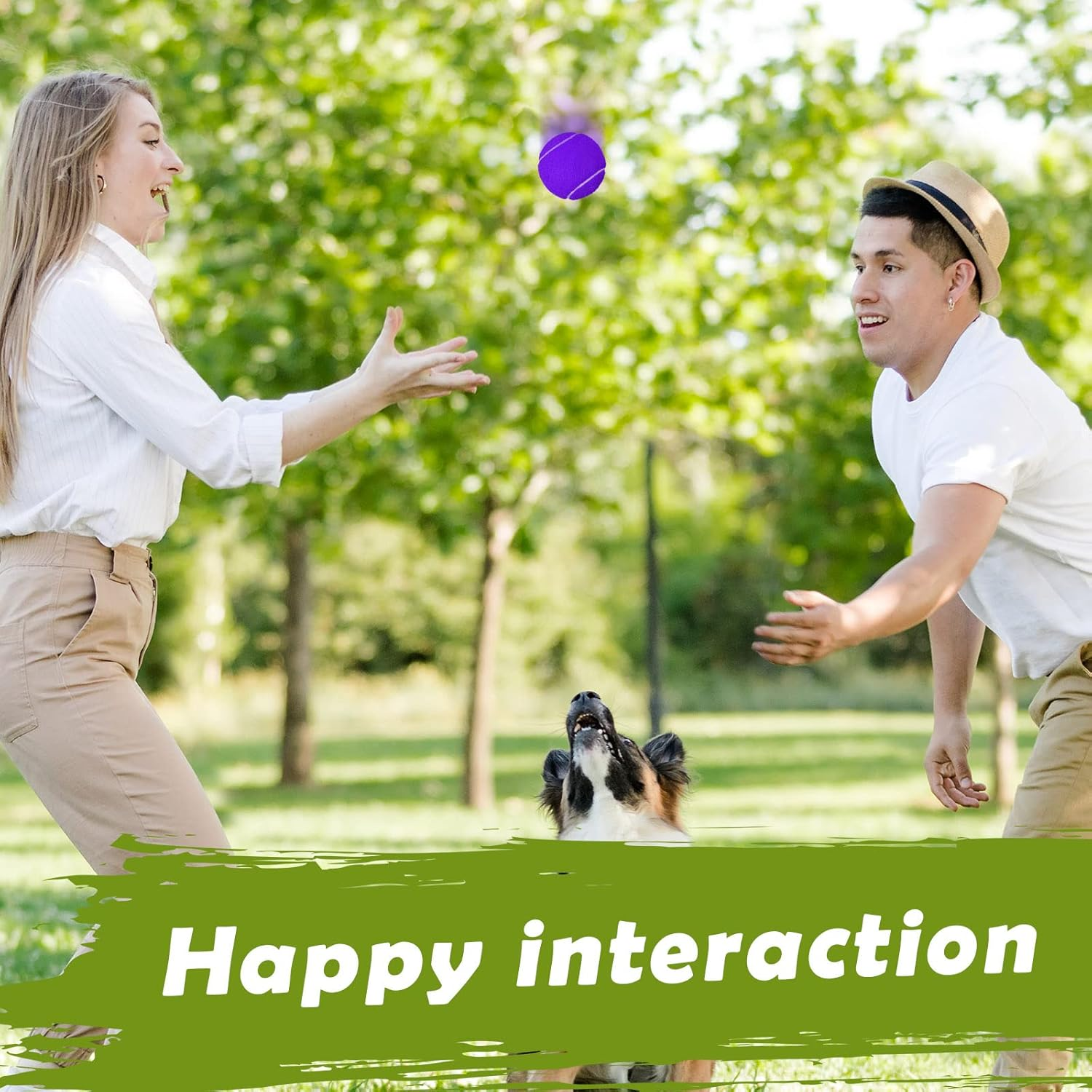 Pack of 20 Tennis Balls for Dogs 2.5 Inch PET Dog Ball for Large, Medium and Small Dogs Colored Interactive Puppy Tennis Doggy Toy with Bag Training Play Exercise, 5 Colors