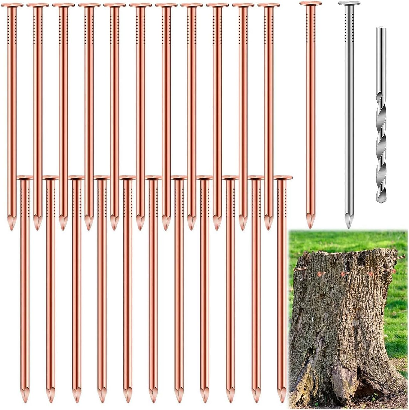 Zicojia 3.5 Inch Pure Copper Nails Bulk Stump Removal Spikes Hardware Nails for Trees 25Piece image number 5
