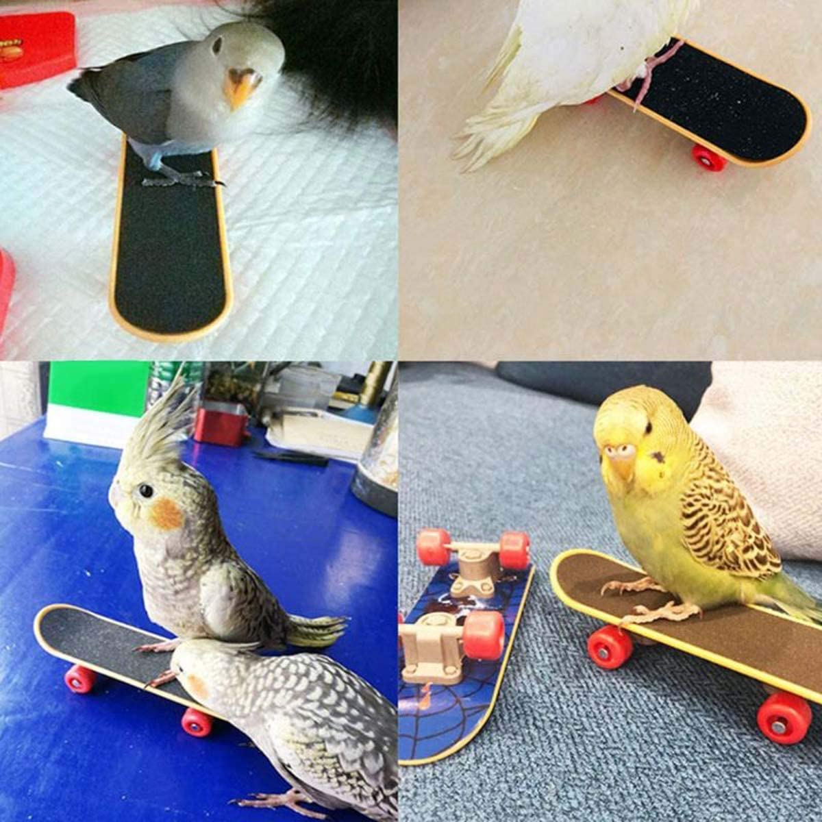 5Pcs Bird Parrot Intelligence Toys, Interactive Playing Training Toy Set, Including Mini Shopping Cart, Training Rings, Skateboard, Basketball Hoop and Ball, for Parrot Parakeet Cockatiel Lovebird image number 3