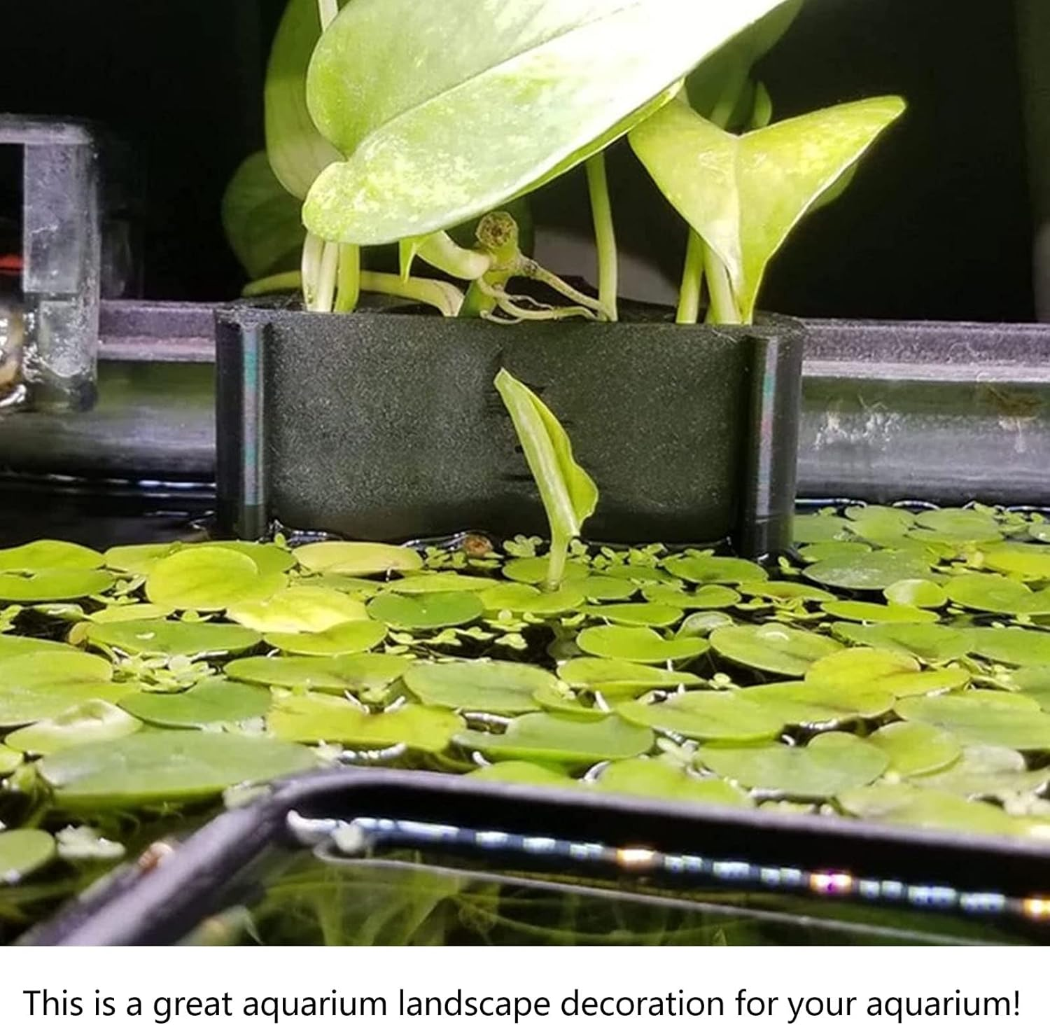 2Pcs Hanging Aquarium Plant Holder, 5 Holes Aquarium Hanging Aquatic Plant Holder, Fish Tank Decorations for Emersed Plants, Promote Plant Growth, Convenient for Viewing (Long Hook Short Hook)