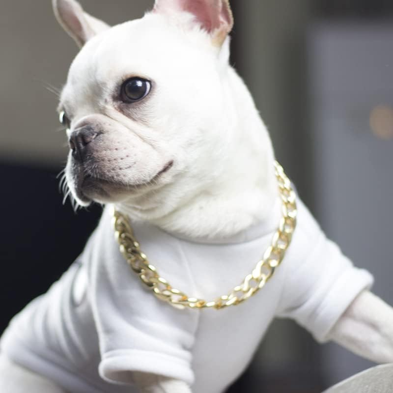 Dog Chain Collar Heavy Duty Choker Double Pet Slip Check Twist Link Chrome Chain, Water-Resistant, Ideal for Medium & Large Breeds