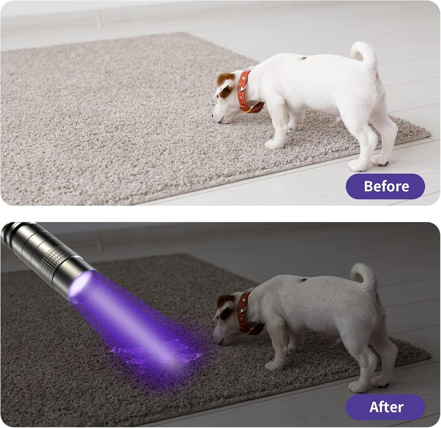 UV Black Light Flashlight, 395Nm Mini Pen Light with Clip, Waterproof Ultraviolet Flashlight for Leak, Pet Urine, Scorpion, Hotel Inspection, Dry Stain and Bed Bug image number 1