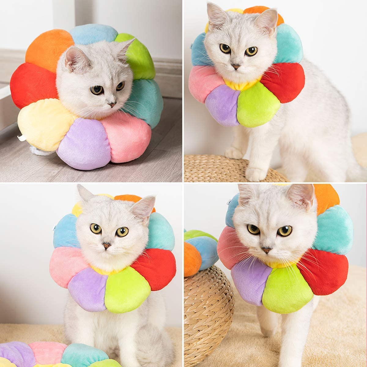 Weyeenacat Small Dog Recovery Collar, Cute Neck Cone after Surgery, Adjustable Pet E Wound Healing Protective Surgery Elizabethan Collars for (Xs(Within 2Lb), Colorful), S(Within 4Lb) image number 1