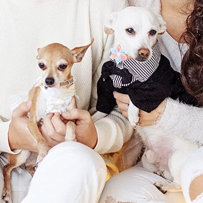 Kalevel Floral Dog Collar Breakaway Large Personalized Cat Collar Elegant Pet Collar with Flower Accessory for Rottweiler Pugs Decoration Pink Blue image number 3