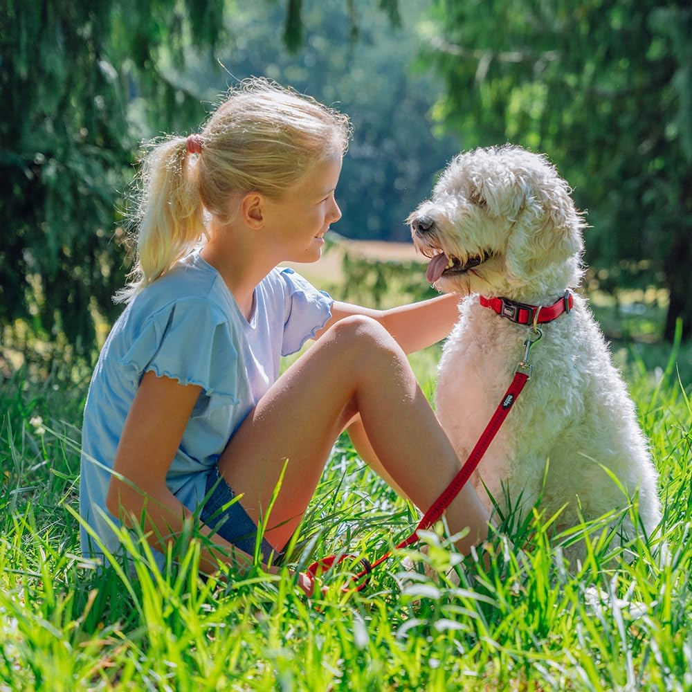 Nobby Soft Grip Dog Leash, 200 Cm/25 Mm, Purple/Black image number 3