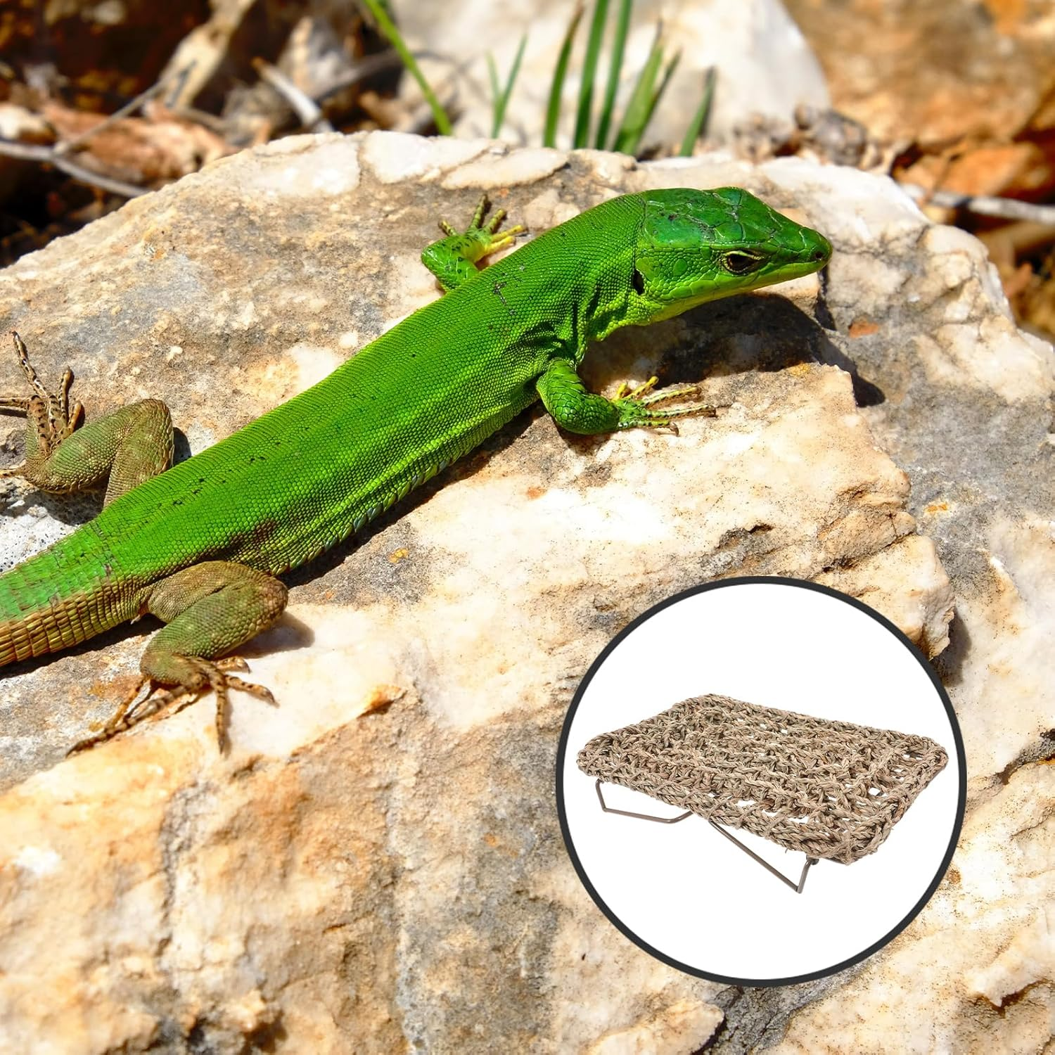 POPETPOP Lizard Lounger for Rest, Reptile Hammock Bed Seagrass Lounger Reptile Climbing Lounger Dragon Tank Accessories for Small Animals Guinea Pig Bearded Dragon image number 6