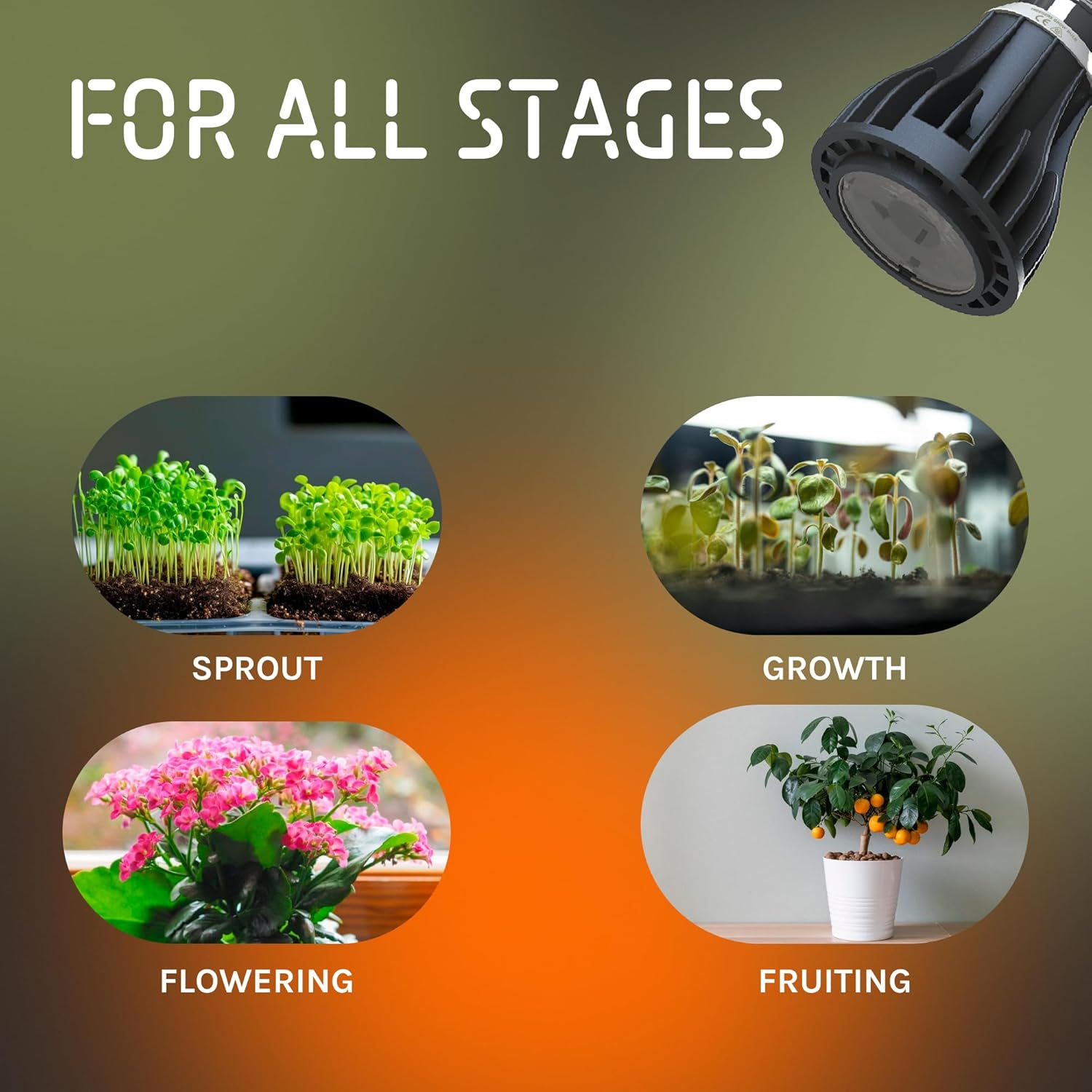 15W LED Grow Light Bulb - 15Watt, E27 Grow Light for Plants, Full Spectrum, LED Grow Bulb with High PPFD for All Indoor Plants, Seeding & Vegetables, 1 Pack by TREEGERS image number 5