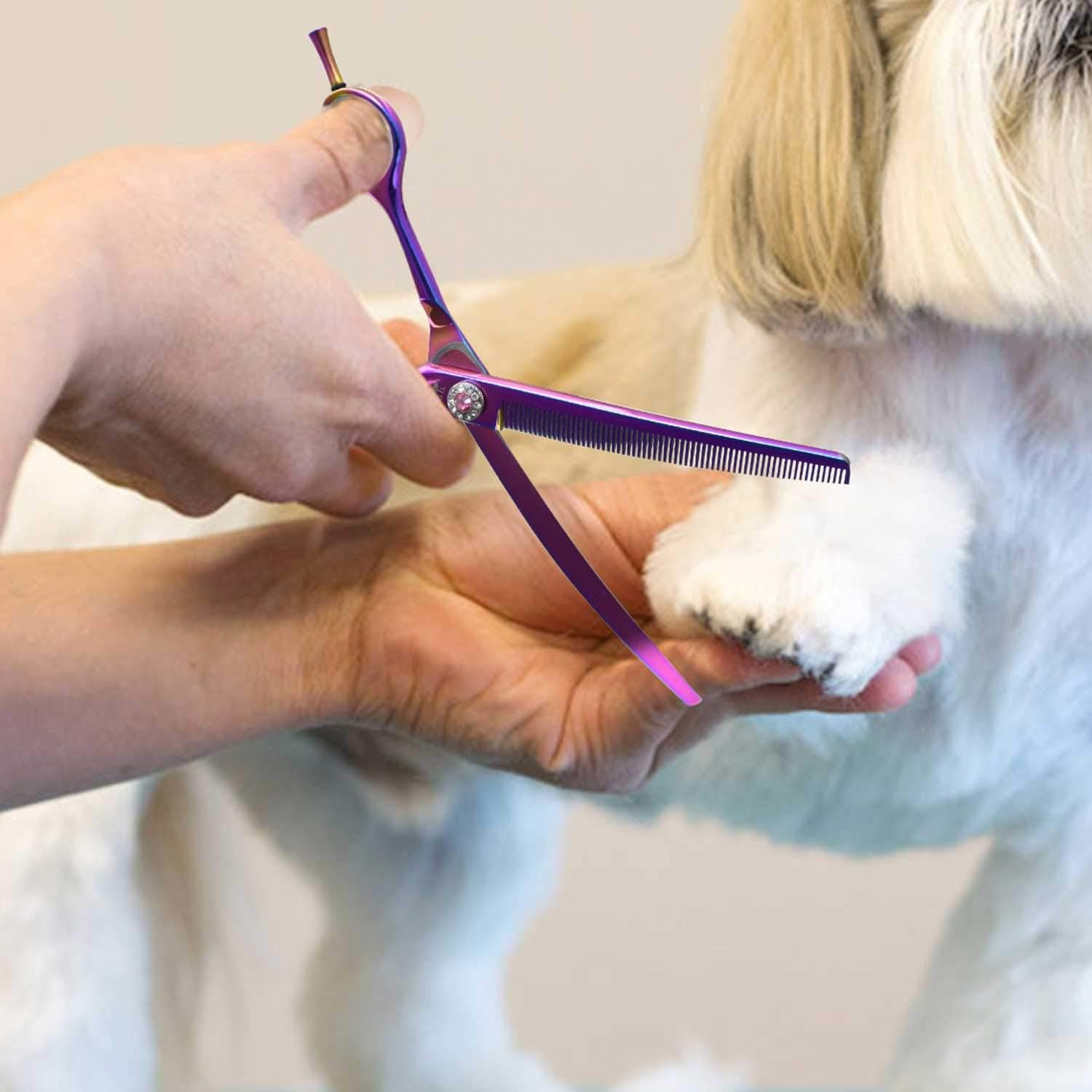 PURPLEBIRD 7 Inch Downward Curved Dog Grooming Scissors Thinning Texturizing Shears Professional Safety Blunt Tip Trimming Shearing for Dogs Cats Face Paws Limbs Japanese Stainless Steel Purple image number 1