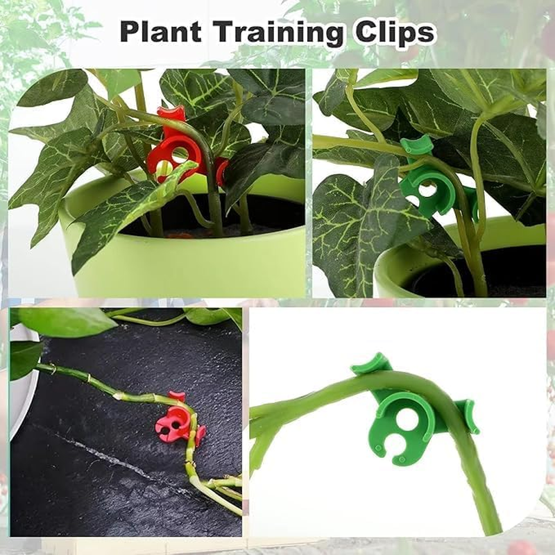 90 Degrees Plant Stem Trainer Clips, 40Pcs Plant Training Clips Plants Bud Bender,Low-Stress Plants Training Clip,90&deg; Planting Stem Bender Low Stress Planting Branch Trainer Clips for Flower, Green image number 3