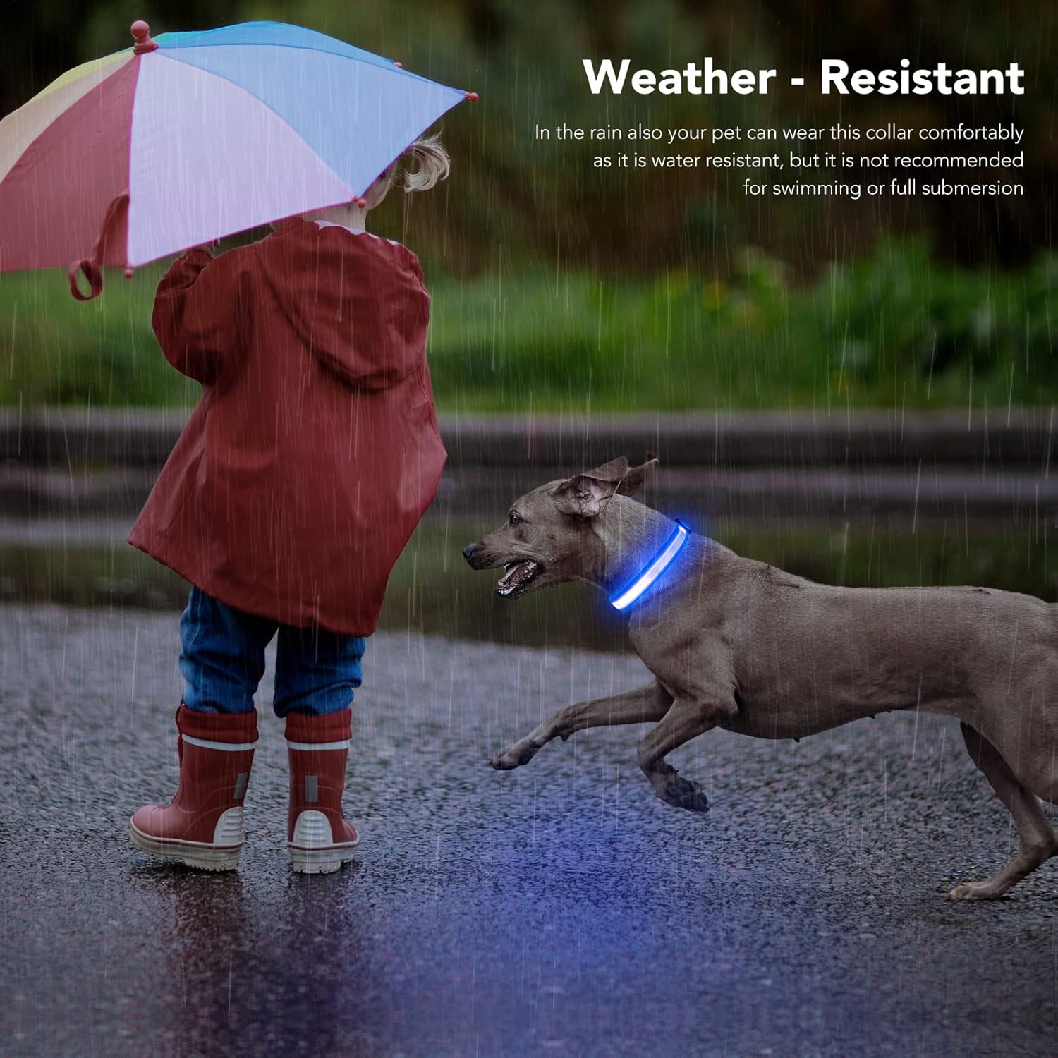 Pzrlit Light up Dog Collar Light Rechargeable, Fully Adjustable LED Dog Collar Waterproof, 3 Flashing Modes Glow Dark Dog Collars for Night Walking for Medium Large Dogs image number 6