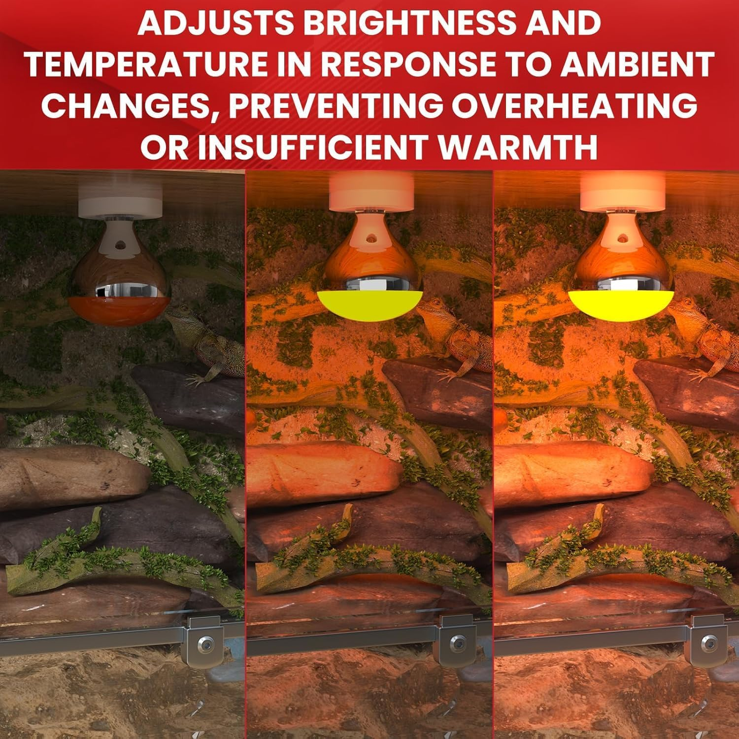 Glowup 250W Infrared Heat Lamp Bulbs, E27 Poultry Heat Lamp Bulb Dimmable R125 Infrared Basking Reflector Bulb, Food Insulation Lamp Bulb, for Food Service & Chicks, Turtles, Geckos, 2-Pack image number 5