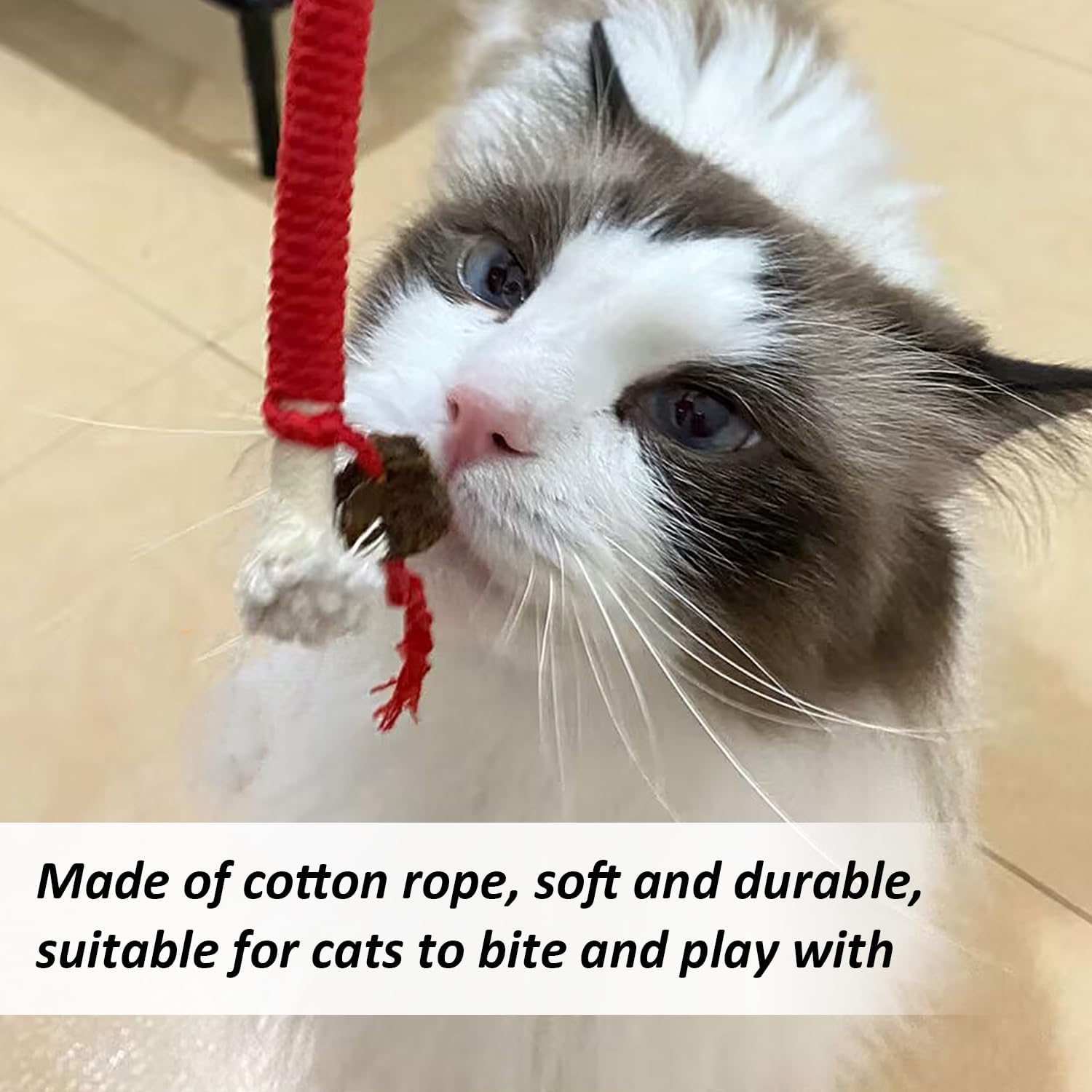 HDGSAFD 5 Cat Bite Ropes and 4 Feather Toys, Interactive Toy for Pets, Creative and Fun Design, Suitable for Cat Entertainment. image number 4