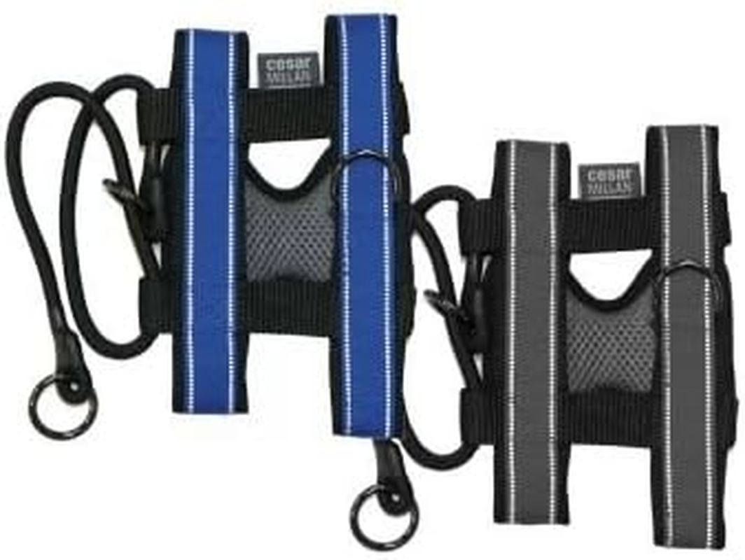 Cesar Millan Pack Leader Collar&trade; - Training Collar of the Dog Whisperer (Large, Grey)