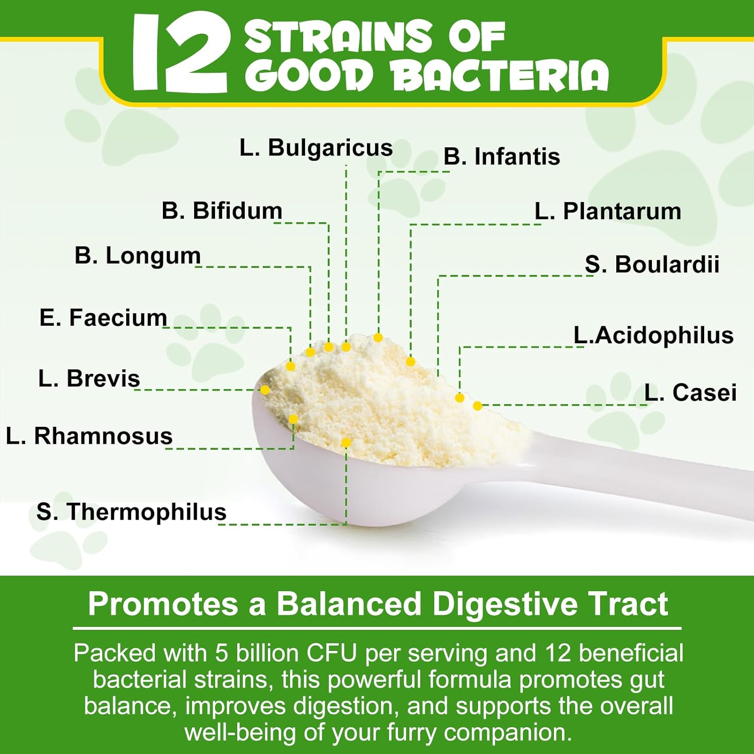 Probiotics for Cats | Cat Probiotic Power | 12 Strains Prebiotics | Fresh Salmon-Flavored Digestive Powder Supplement | 5 Billion Cfus | Gut Health Support | for All Ages and Breeds | 120G image number 2