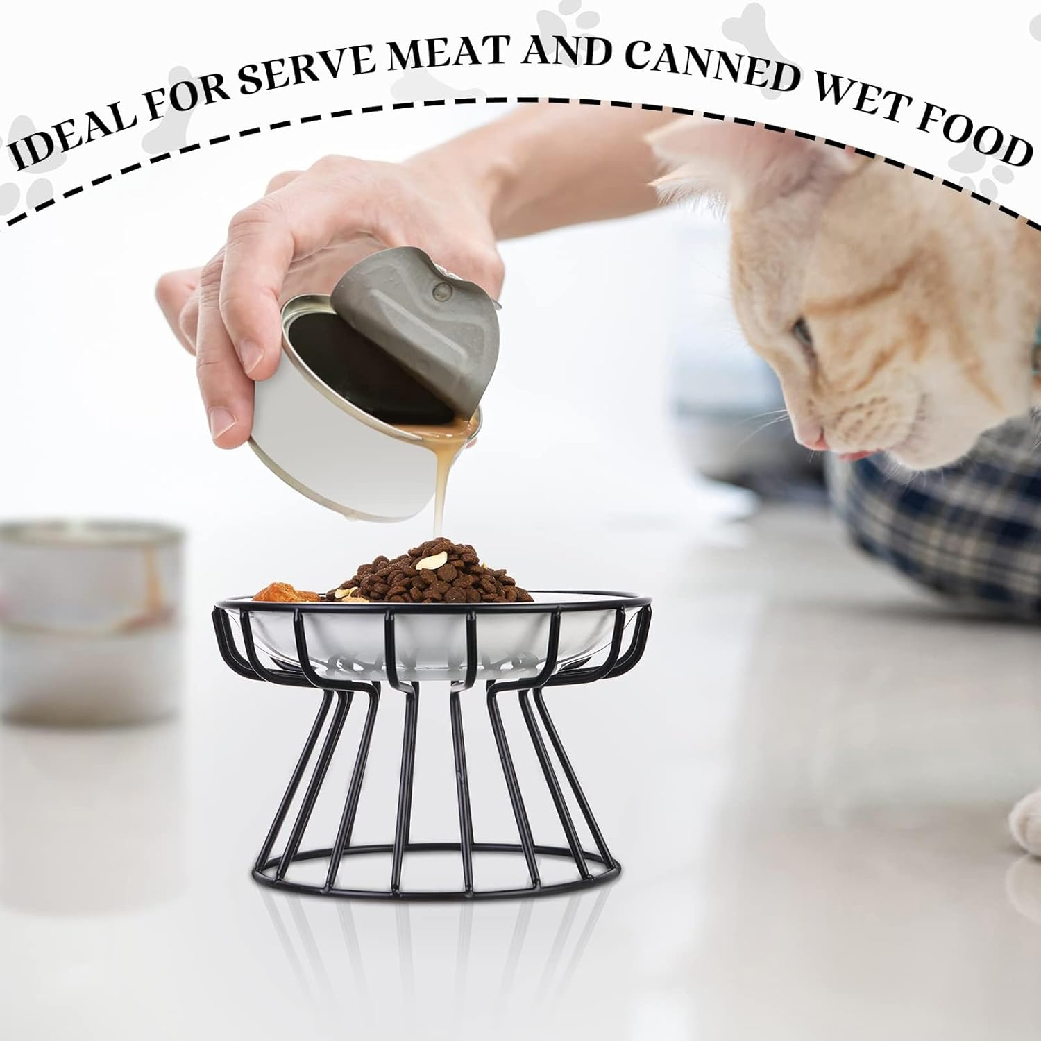 LMSNE Raised Cat Bowls,Whisker Friendly anti Vomit Cat Bowl Ceramicwith Metal Stand, Elevated Food Feeding Dishes for Cats and Dog image number 3