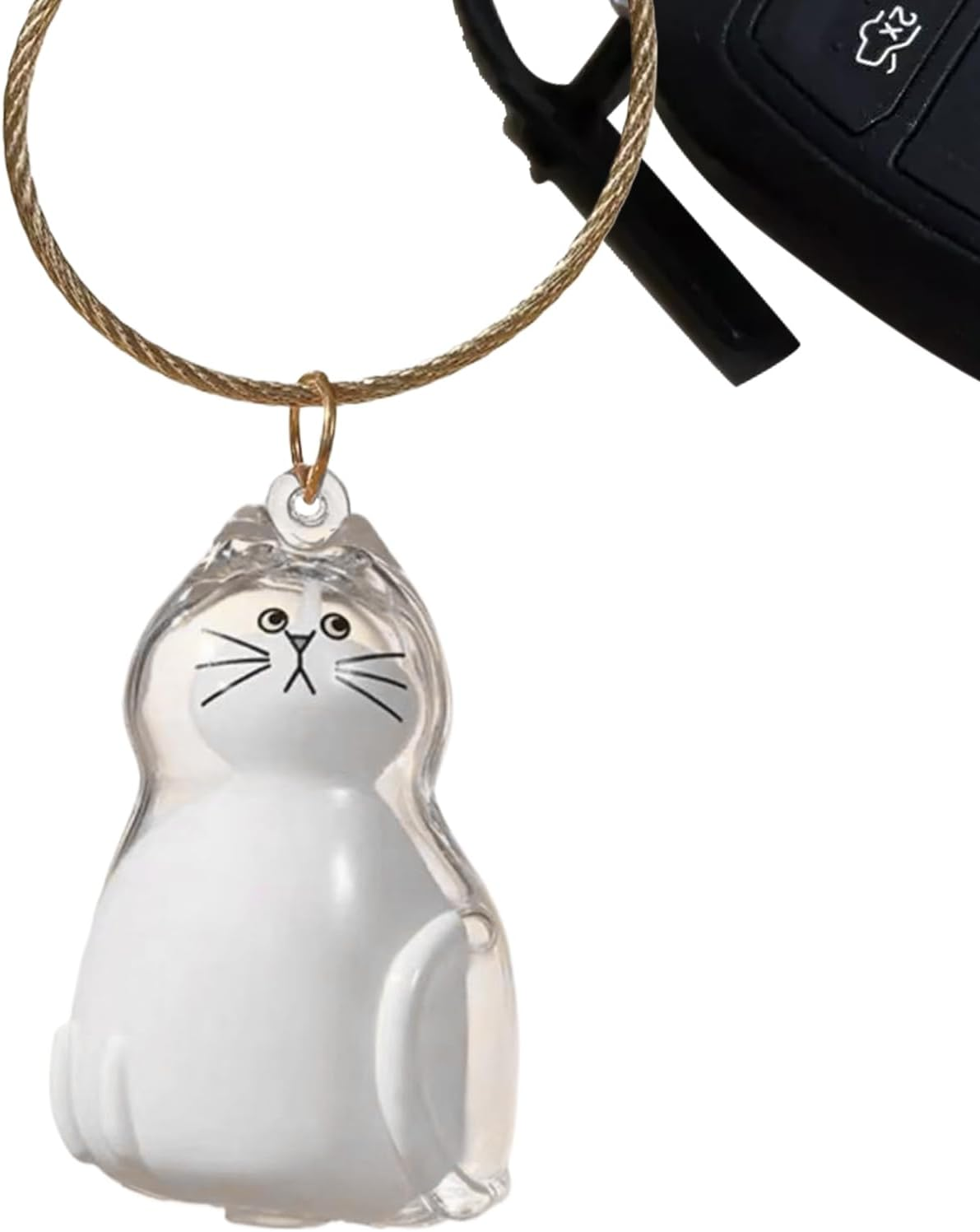 Transparent Cat Hair Storage Box, Cat Hair Storage Bottle, Pet Memorial Keepsake, with Meaningful Sympathy, Clear and Compact Design, 4.5Cm, for Friends & Family image number 6