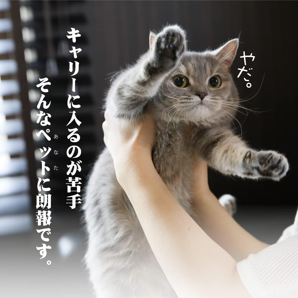 Van Ness Pets Calm Carrier Max with EZ Load Slide Out Drawer, Hard-Sided Travel Crate for Cats and Small Dogs image number 2