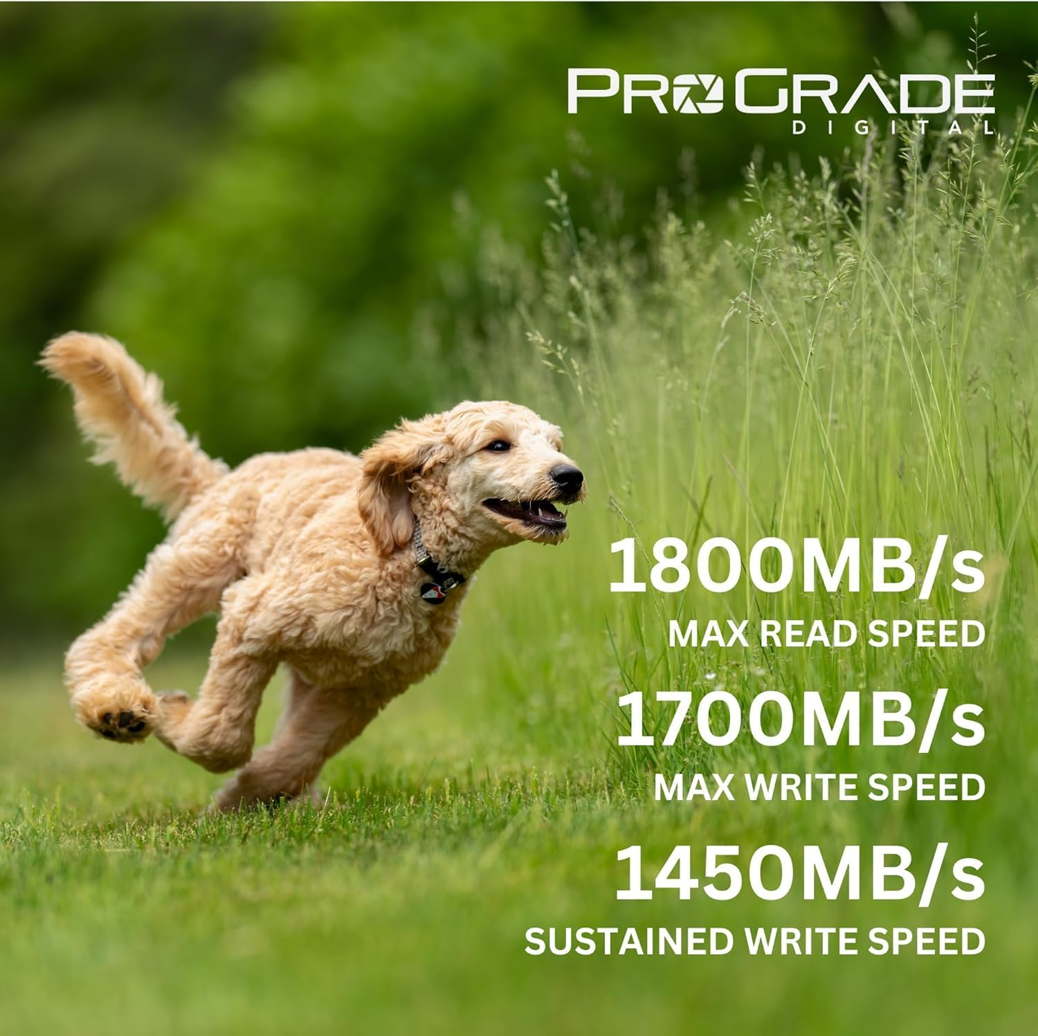 Prograde Digital Cfexpress&trade; 4.0 Type a Memory Card (960GB) Iridium image number 4